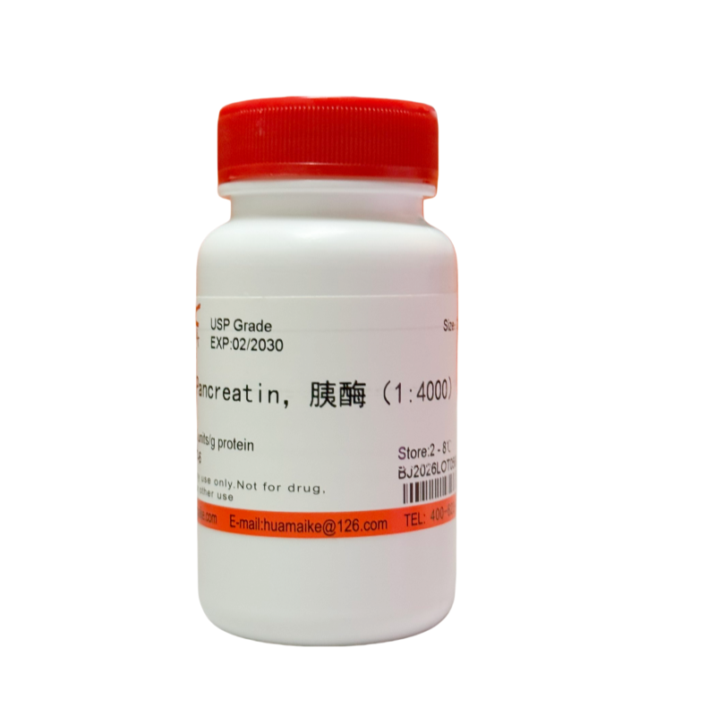 胰酶（USP级,≥4000 u/g）